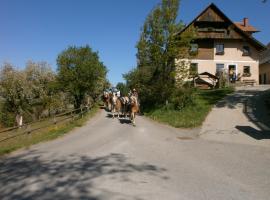 Zdjęcie hotelu: Reitbauernhof Ferner