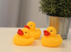 Foto do Hotel: Apartment with yellow duck