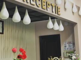 Hotel Belvedere, Hotel in Botoşani