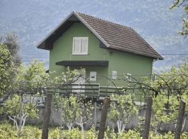 Hotel foto: Village house Danilovgrad