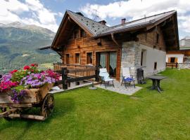 Hotel Photo: Chalet Teo e Marianna