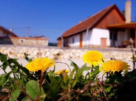 Фотография гостиницы: Tokaj vidéki szállás 2