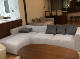 Zdjęcie hotelu: luxury 2 bed room apartment fully furnished