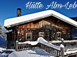 מלון צילום: Hütte Alm-Leben