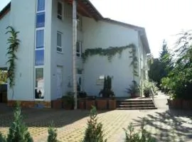 Weinhotel Wagner, hotel in Frankenthal