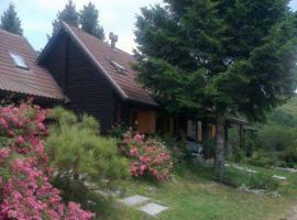 Hotel fotoğraf: CHALET IN LEGNO a 900m