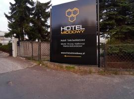 Hotel Miodowy, ξενοδοχείο σε Dzierzoniow