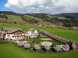 A picture of the hotel: Hotel Nussbaumerhof ***