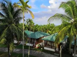 Rainforest Resort