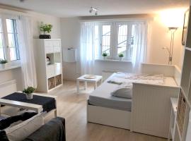 Фотографія готелю: Ferienwohnung Erlinsbach SO