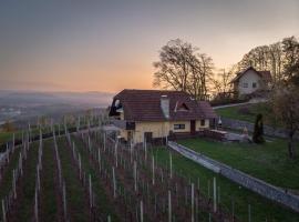 Фотографія готелю: Vineyard cottage Hočevar