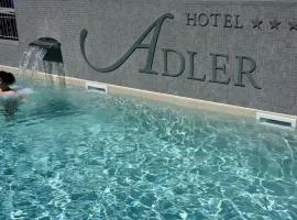 Hotel Adler, готель у місті Алассіо
