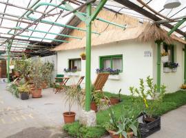 Viesnīca Rastlinky.sk Greenhouse Guestrooms Bratislavā