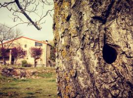 Hotel Photo: La Plana de Sovelles