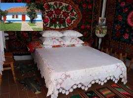 Hotel fotografie: Ferienhaus in Transnistrien