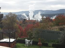 Hotel Photo: Geyser Lookout BnB