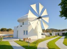 A picture of the hotel: villa windmill