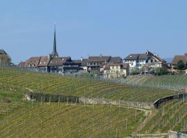 A picture of the hotel: Cave du Cep