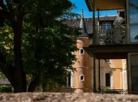 Grand Hôtel du Lion d'Or, hotel in Romorantin