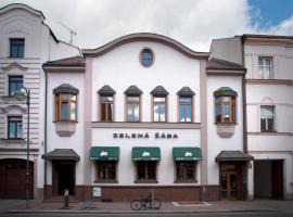 Хотел снимка: Penzion Zelená Žába