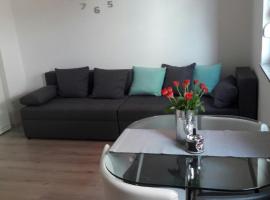 A picture of the hotel: Studio Apartman Centar