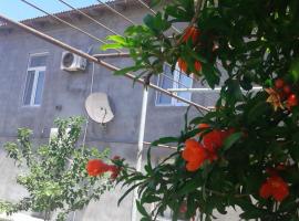 Ξενοδοχείο φωτογραφία: Guest house near Baku airport