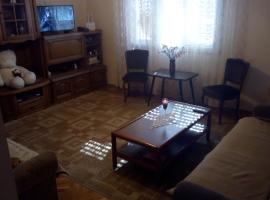 A picture of the hotel: Guesthouse Vukovar