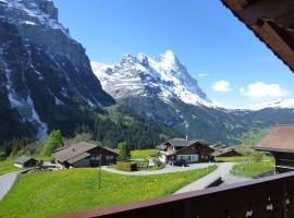 Hotel Photo: Chalet Verbrunnenhaus Grindelwald