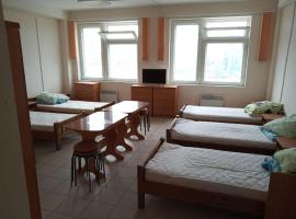 Hotel Photo: Guest House on Promyshlennaya 125/1