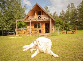 A picture of the hotel: Domek letniskowy