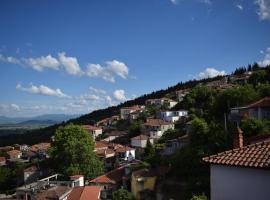 Hotel foto: Antigoni's Traditional House