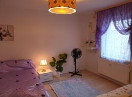 מלון צילום: Anna Private Room Nähe Frankfurt