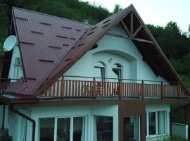 Hotel Photo: VILLA VRELO BOSNE DE LUXE