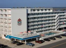 Lotus Inn