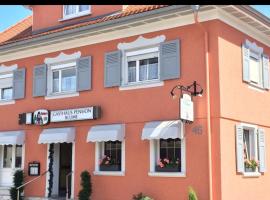 Fotos de Hotel: Gasthaus&Pension Blume Ötigheim