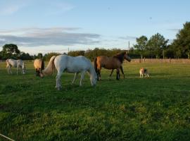 호텔 사진: The Little Flock Farm