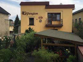 Gambaran Hotel: G Penzion