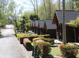 ホテル写真: Rotorua Thermal Holiday Park