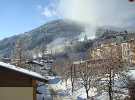 Hotel Photo: Basic Apartment Bertl Zell am See