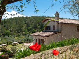A picture of the hotel: Agriturismo Molino Verde