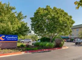 Comfort Inn & Suites Fayetteville-University Area