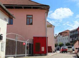 Hotel fotografie: Penzion U Růžičků