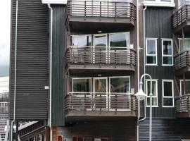 Фотография гостиницы: Apartment Hemsedal Skiheisveien