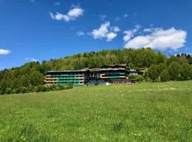 Natura Hotel Bodenmais - inkl Soft- und Heißgetränkeflat