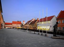 A picture of the hotel: Hostel Ormož