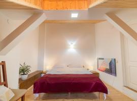 Хотел снимка: Bed&Wood in Center of Oradea 1