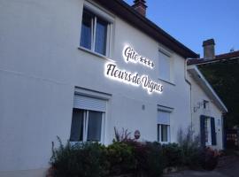 Hotel foto: GITE FLEURS DE VIGNES