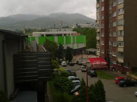 होटल की एक तस्वीर: zenica downtown apartment