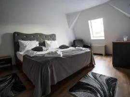 Hotel Darina Tarnaveni