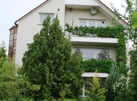 A picture of the hotel: Apartman-Donau Tát